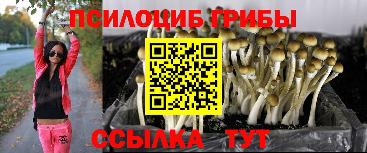 Галлюциногенные грибы MAGIC MUSHROOMS  Галлюциногенные грибы мухоморы  Железноводск  Вход с VPN 